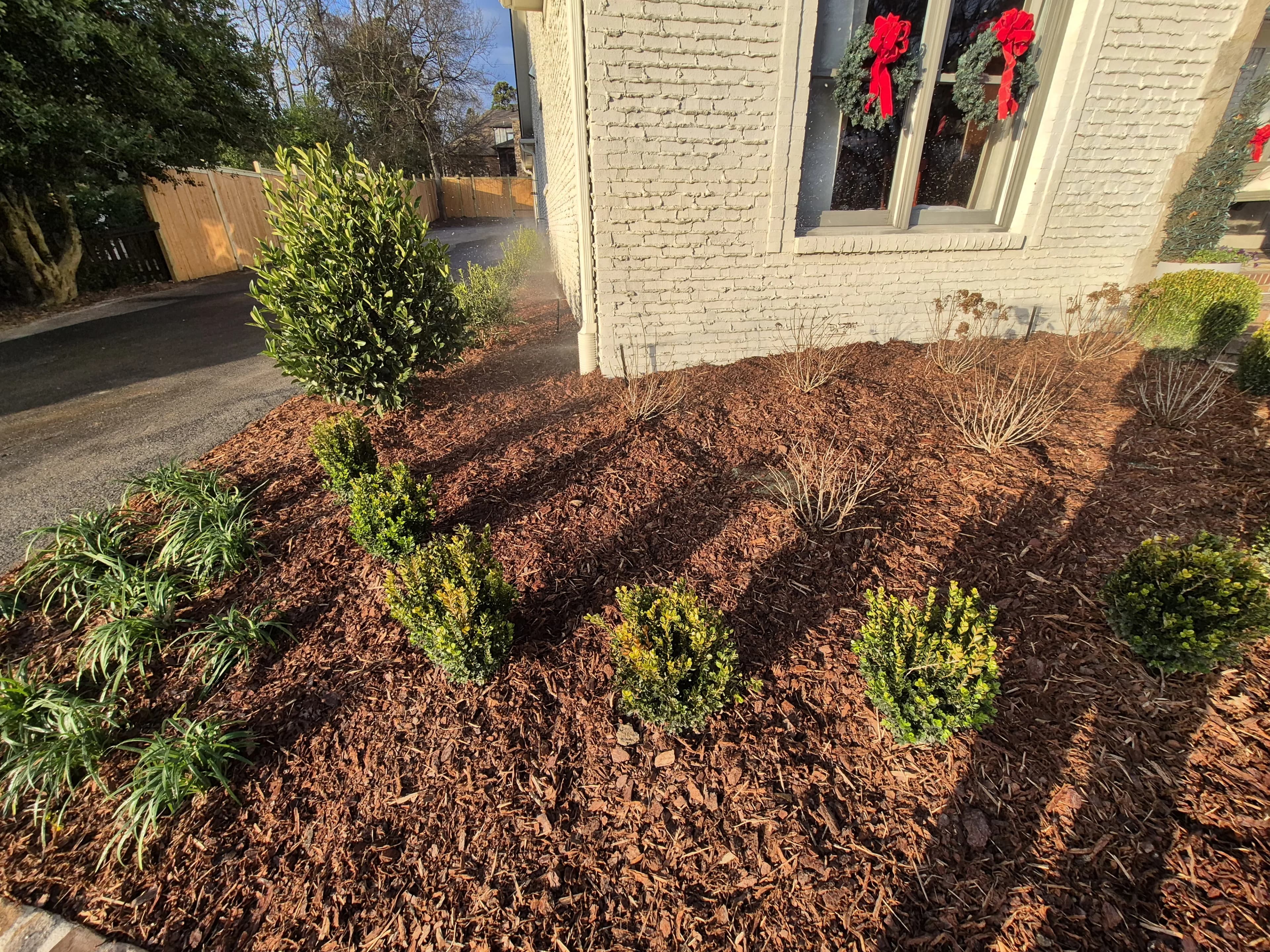 Landscaping project 2